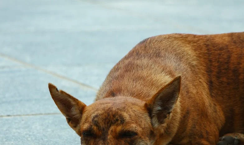 Когато доверието се разпада: Една нощ, която промени всичко