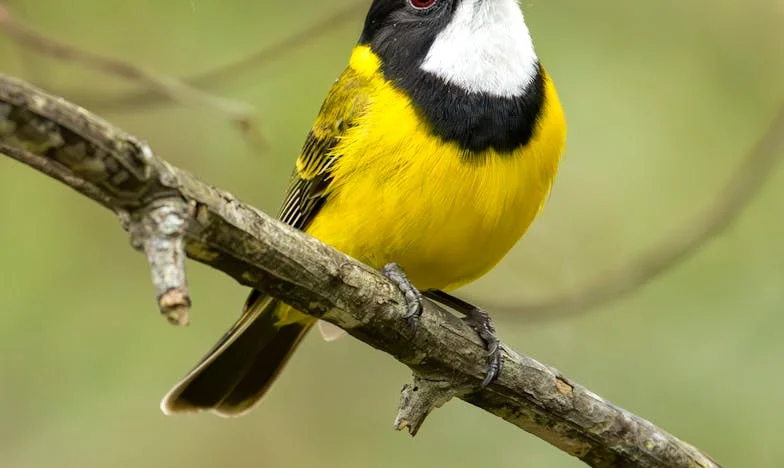 Молитвата, която ме спаси: История за вярата, баба ми и силата да продължиш