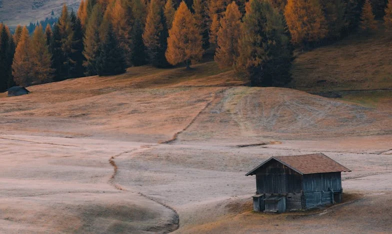 Не бягай от съдбата си, Ева! – Историята на една булка, която избяга от семейството на годеника си