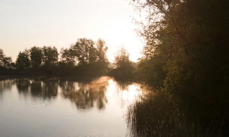 Не мой избор – история за любов, семейство и собствените граници