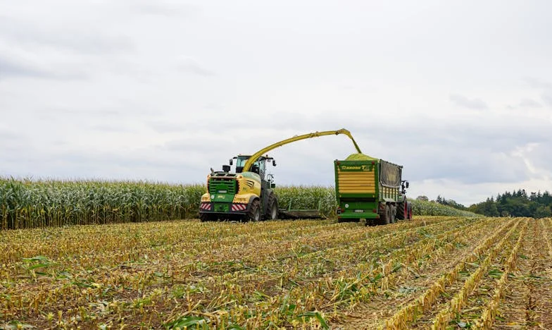Пазителят на тайните: Зимата, която преобърна живота ми