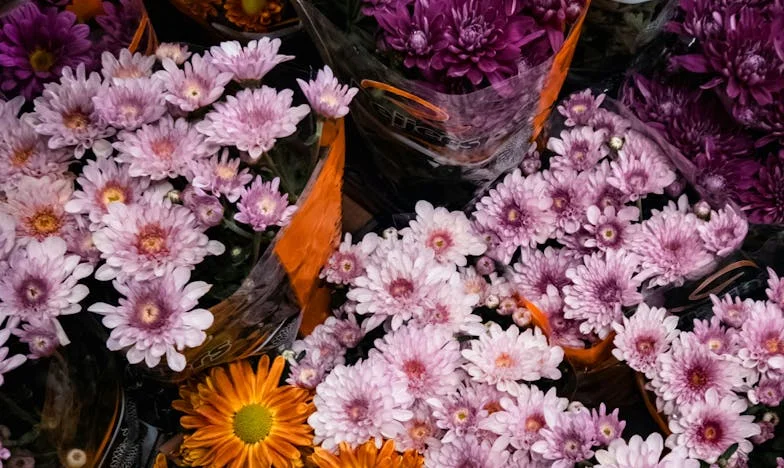 Портфейлът на мъжа ми и моята златна клетка: Борбата за свобода в замръзналия ни брак