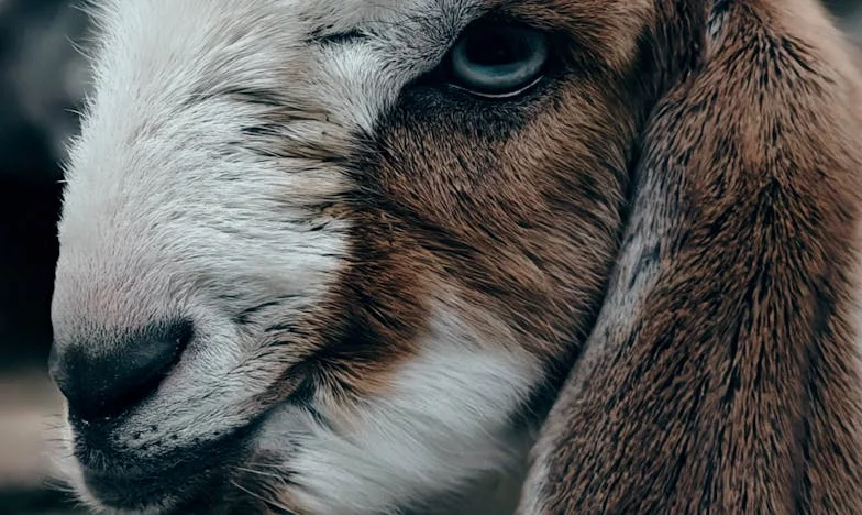 Разбито доверие: Как съпругът и свекървата ми отнеха всичко, което обичах