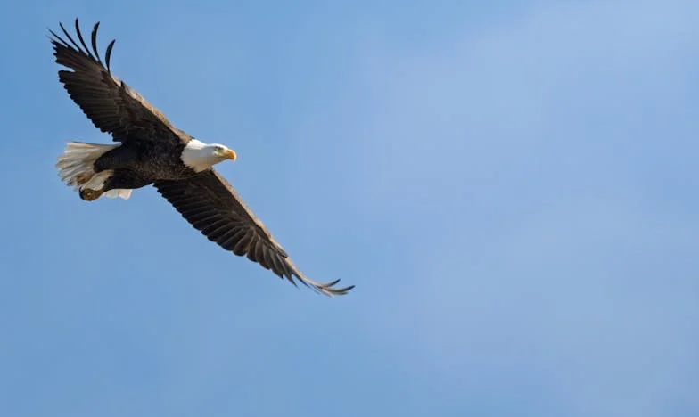 Сянката на моя син: История за тайни, любов и болка