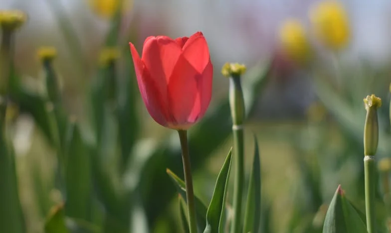 Бях слугиня в собствения си дом – история, която разкъсва сърцето