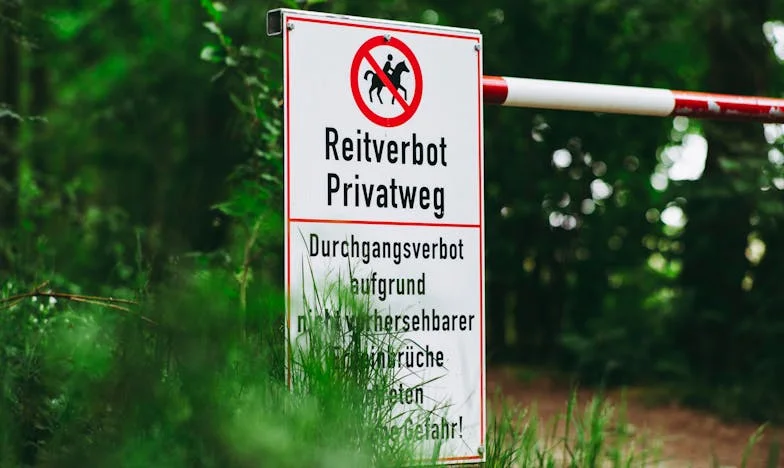 Гостенка в собствения си дом: Между любовта, границите и семейството