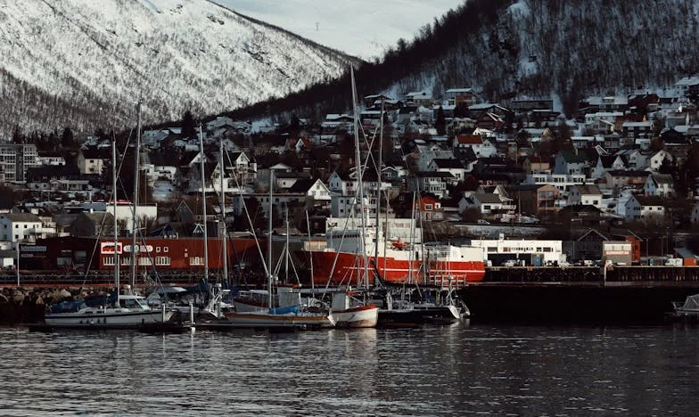 Когато съседството се превърне в бреме: История за граници и изгубено приятелство