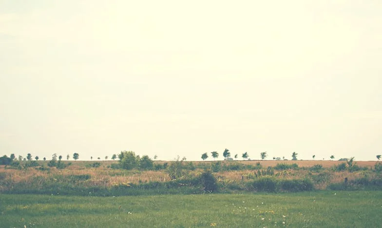 Майка ми избра нов съпруг пред внуците си. Не мога да повярвам, че ни причини това.