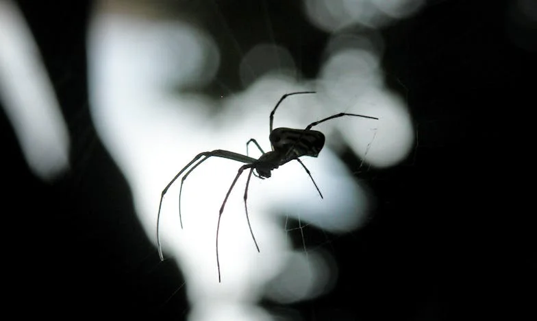 Ако майка му е толкова богата, нека тя плаща издръжката: Цената на гордостта и оцеляването