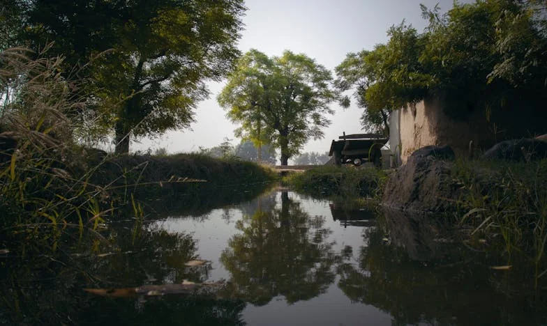 Цената на истината – Тайните на едно българско семейство