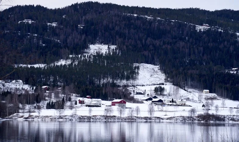 Когато свекърва ми пое контрола над нашия дом: Борба за граници и семейно спокойствие