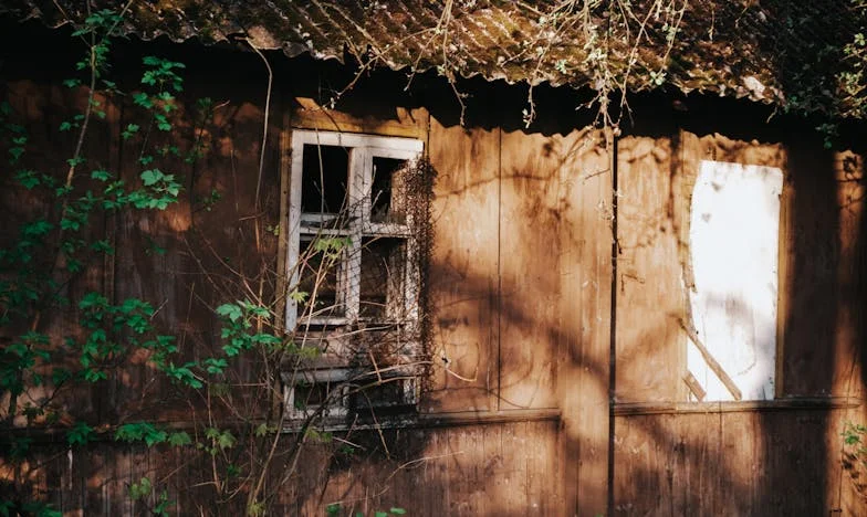 „Мъжът ти няма да оправя вашата къща“, каза свекърва ми