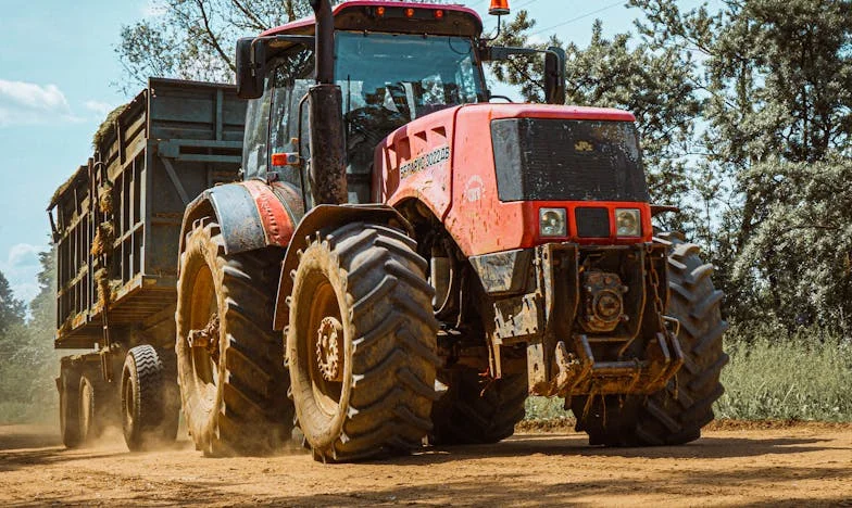 След петдесет: Историята на една жена, която се осмели да обича отново