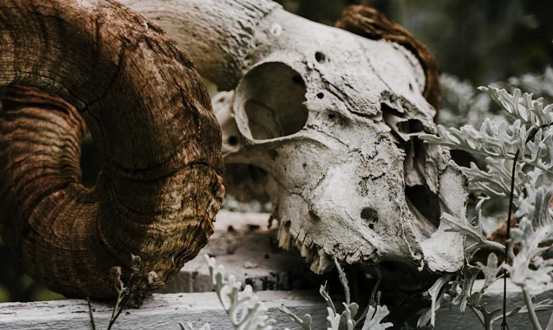 „Nie dasz sobie rady sama” – historia o tym, jak ojcowska troska może ranić najbardziej