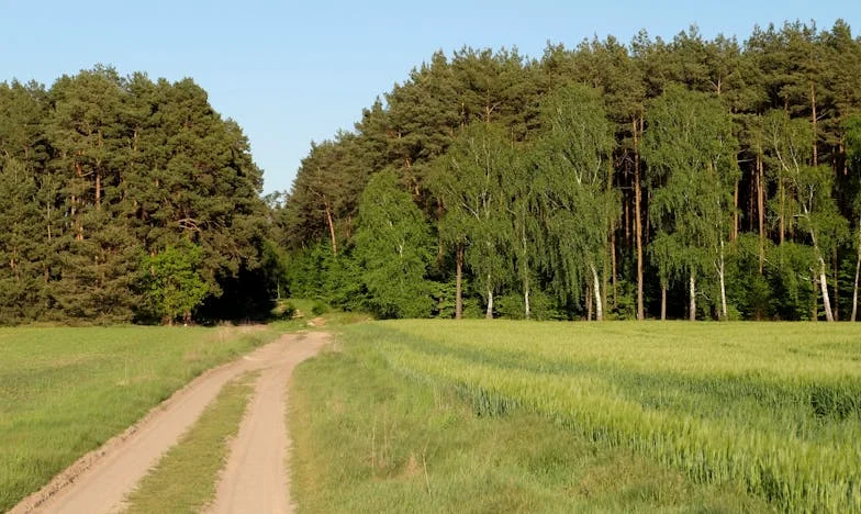 Córka chce wrócić do domu z rodziną – przyjmę ją i wnuczkę, ale nie jej męża. Czy jestem złą matką?