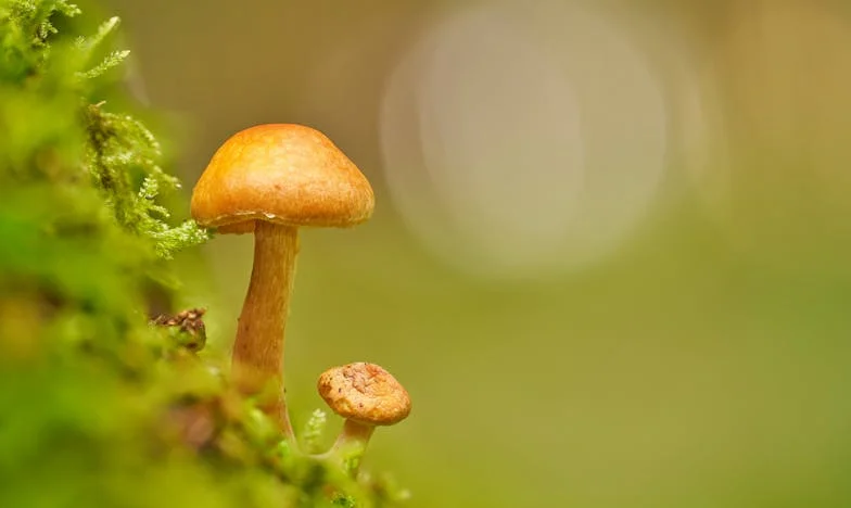 Zamknęłam oczy na jego zdrady przez lata. Dopóki nie upadłam na ulicy i nie zobaczyłam, kto naprawdę jest przy mnie