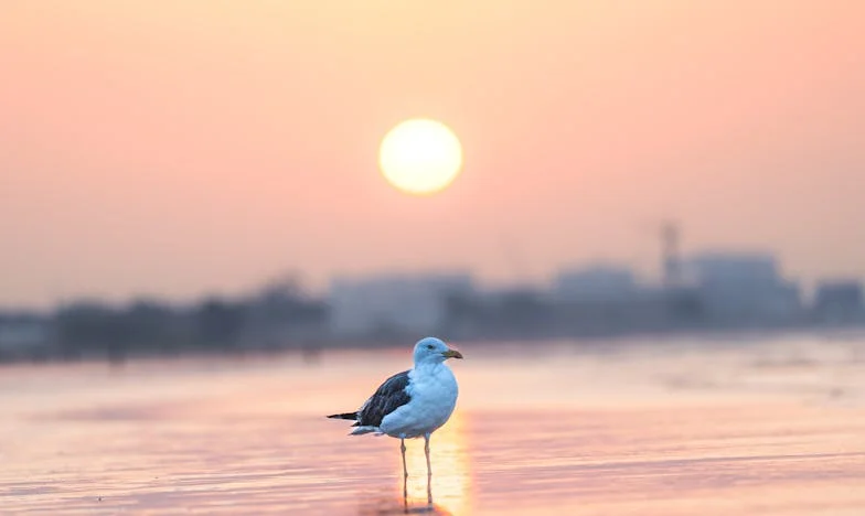 Cena kłamstwa: Jak uratowałam rodzinę, tracąc siebie