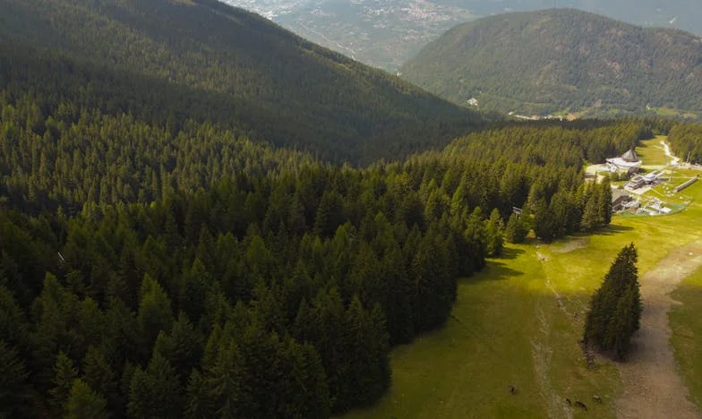 Kiedy miłość rozdziera rodzinę: Historia Pawła i Zuzanny z Podlasia