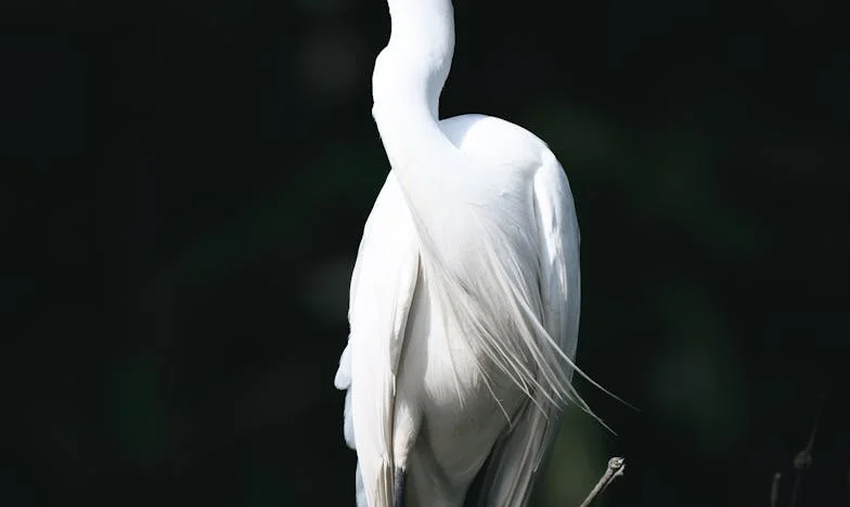 Wszystko dla szwagra – testament, który rozdarł moją rodzinę