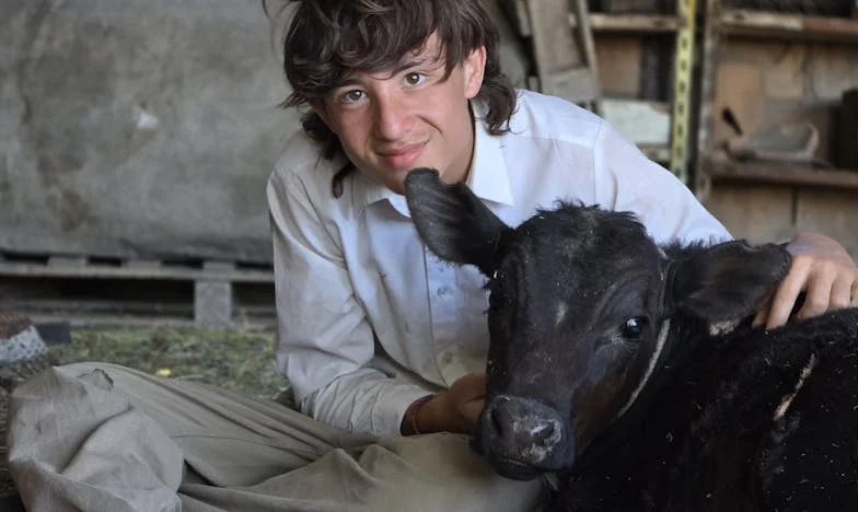 Cień rozliczeń – Historia polskiej rodziny na granicy pieniędzy i miłości