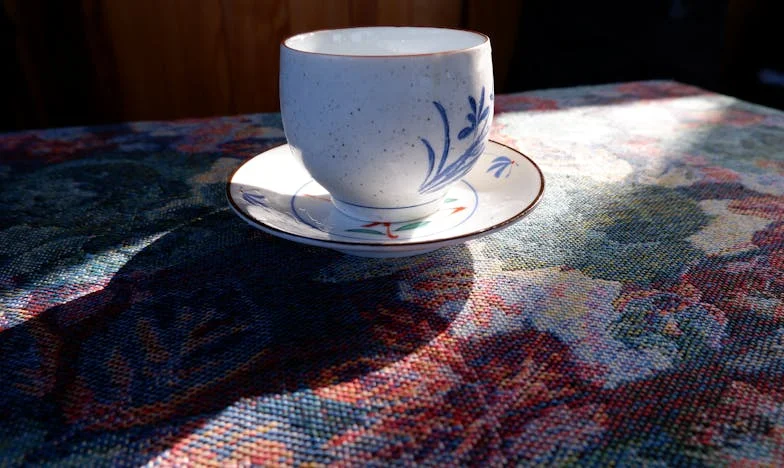 Dlaczego już nie ufam swoim rodzicom: Opowieść o domu, rodzinie i dumie