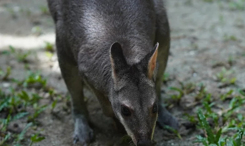 Dom, który miał być nasz: Historia zdrady i rodzinnych tajemnic