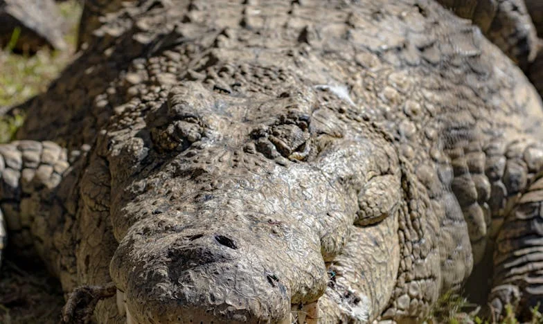 Kiedy życie dopiero się zaczyna: opowieść pewnej kobiety