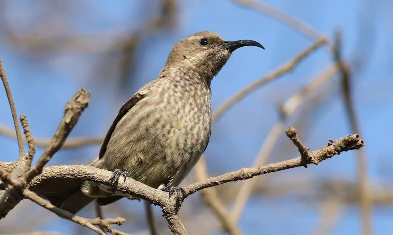Mama przyjeżdża? Odwołaj! Będzie moja była!