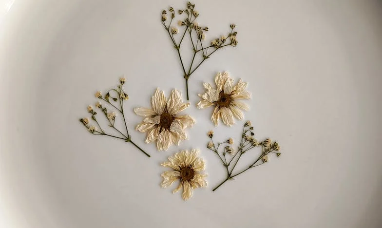 Między ciszą a krzykiem: Opowieść ojca, który został sam