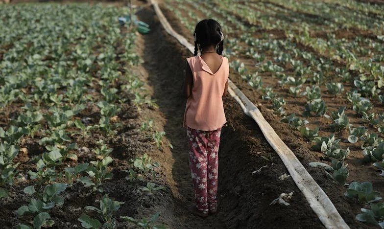Między winą a przebaczeniem: Jak wiara uratowała moją rodzinę