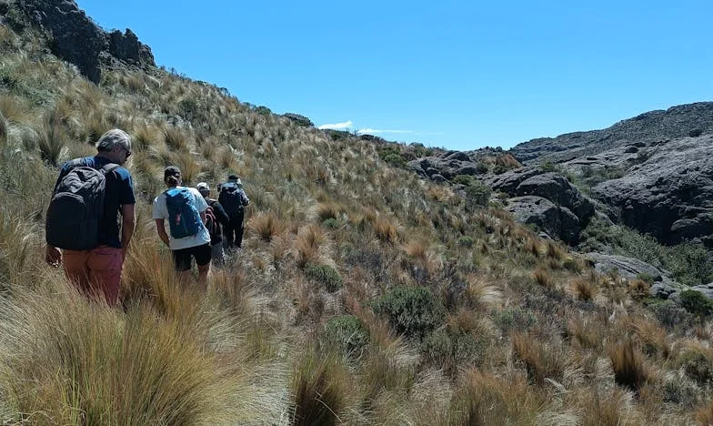 Mój dorosły syn wrócił do domu po rozwodzie. Teraz czuję, że moje życie się rozpada…