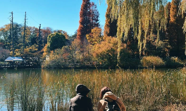 Moja szwagierka, jej dziecko i moja cisza: Noc, która zmieniła wszystko