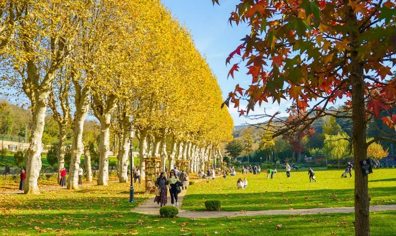 „Nie przywoź synka na weekend” – Historia polskiego ojca między łzami, dumą a rodzinną ciszą
