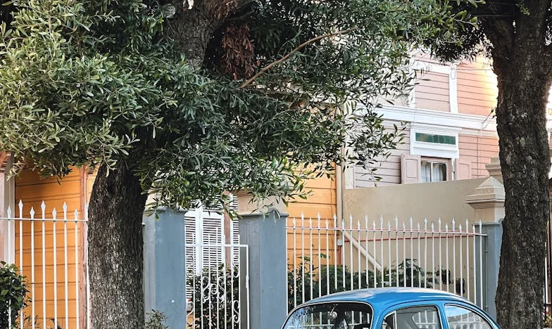 Nowy Początek: Jak Opuściłam Dom Teściowej i Odnalazłam Harmonię w Rodzinie