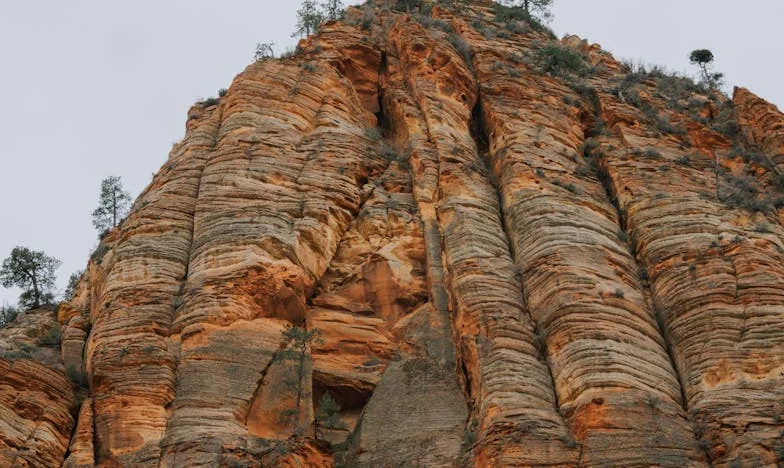 "Prawda, która zburzyła mój świat: Co usłyszałam przy grobie rodziców?"