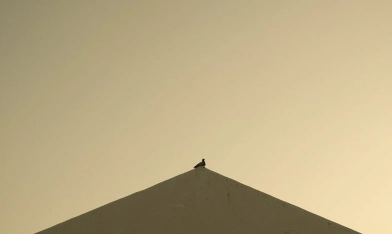 Szłam do szpitala po jedno dziecko, wróciłam z trójką! Historia, która przewróciła nasze życie do góry nogami