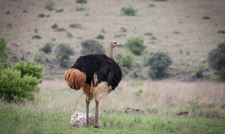 „Wstań i zrób mi kawę”: Jak szwagier rozbił nasz dom na dwa tygodnie i pokazał mi, gdzie kończą się granice rodziny