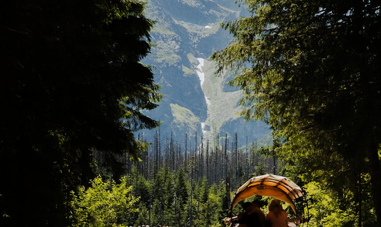 Zdrada po dwudziestu latach: Jak jeden rachunek z hotelu zmienił całe moje życie