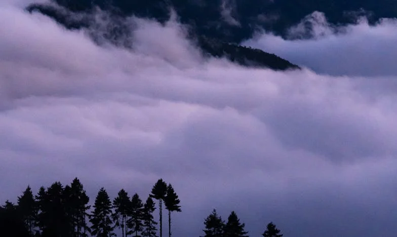 Zobaczyłam szwagra z inną kobietą i milczałam – teraz wszyscy obwiniają mnie za tragedię. Czy powinnam była powiedzieć prawdę?