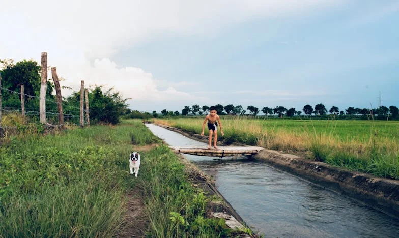 Dziewczynka, która czekała na mamę: Moja walka o miłość i dom