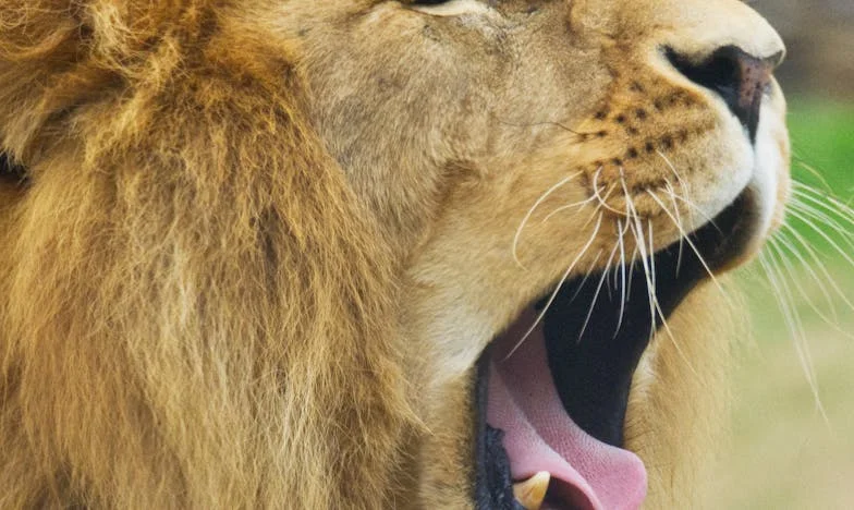 Gdy walczyłam o spokój mojej rodziny: Jedna Wigilia, która zmieniła wszystko