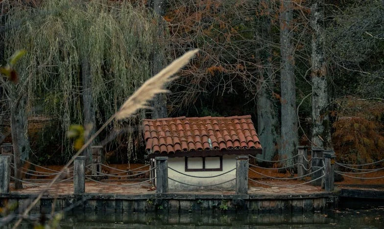 Gdy żona została szefową kuchni – a w domu zostały tylko pierogi