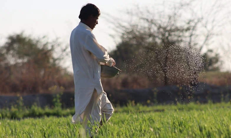 Kiedy dom przestaje być domem: Opowieść o odejściu, którego nie było