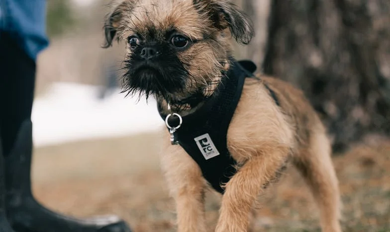 Majka Wie Lepiej: Jak Teściowa Przejęła Moje Życie