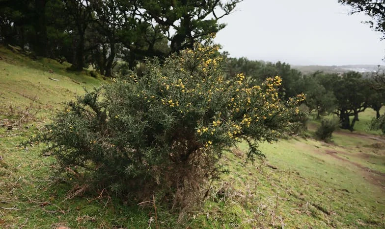 Między czterema ścianami: Kiedy rodzina staje się ryzykiem. Historia o zaufaniu, zdradzie i walce o własny dom