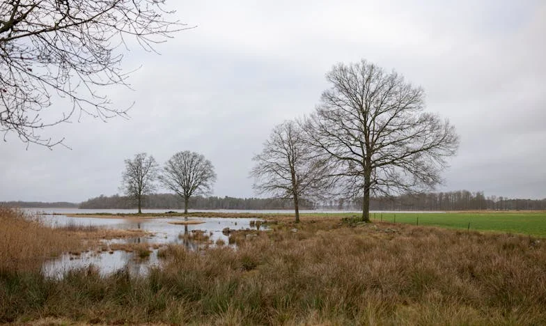 Między młotem a kowadłem: Gdy teściowa postanowiła zacząć od nowa