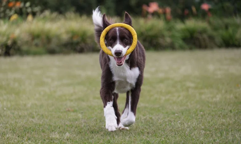 "Musisz wszystko przepisać na mnie! Dlaczego jej uwierzyłeś? Ona chce cię oszukać!" — Historia o rodzinie, która rozpadła się przez pieniądze i zdradę