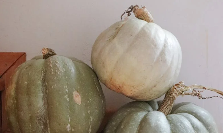 Nie powiedziałam jej złego słowa, a ona mnie odsunęła: Jak synowa oddaliła ode mnie syna i wnuka