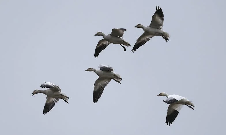 Ojciec na progu: Powrót, którego się nie spodziewałam – czy można wybaczyć po latach?