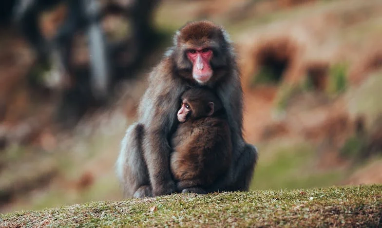 Po trzydziestu latach zostawił mnie – a potem wrócił: Moje życie między nadzieją a zwątpieniem